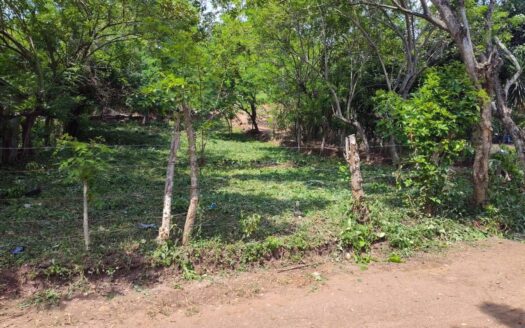 Colonia Primavera, Cofradia Cortes