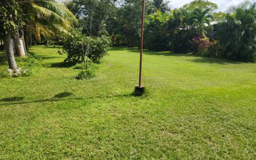 🏡 Terreno con Casa en Venta – Chachaguala, Omoa