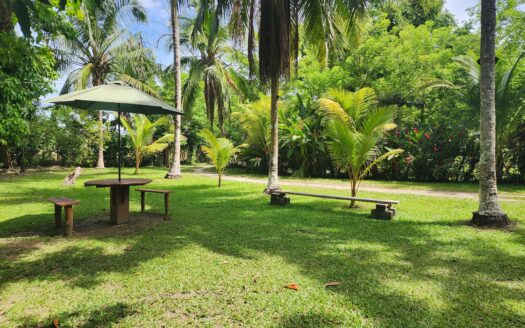 🚨 ¡GANGA! VENTA DE PROPIEDAD DE 35 MANZANAS EN OMOA, CORTÉS 🏡🌴