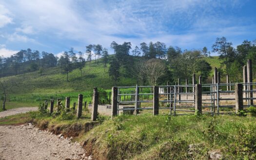 ✅️GANGA OPORTUNIDAD DE INVERSIÓN PROPIEDAD EN VENTA 51.7 MANZANAS✅️