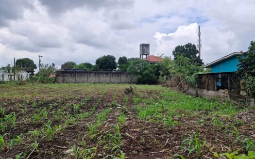 🌿 Lotes en Venta – Colonia Alameda, El Progreso 🏡