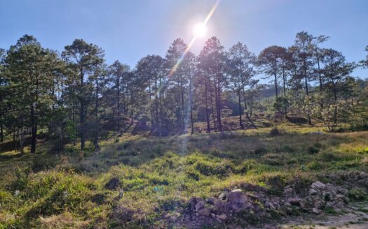 🌲🏡 Lotes en Venta | Residencial Villas del Pinar – Siguatepeque