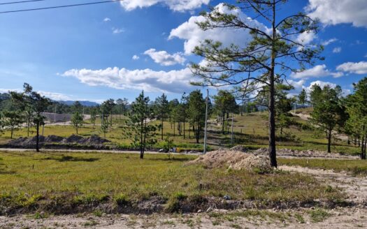 🌿🏡 Terrenos en Venta | Residencial Las Acacias – Siguatepeque