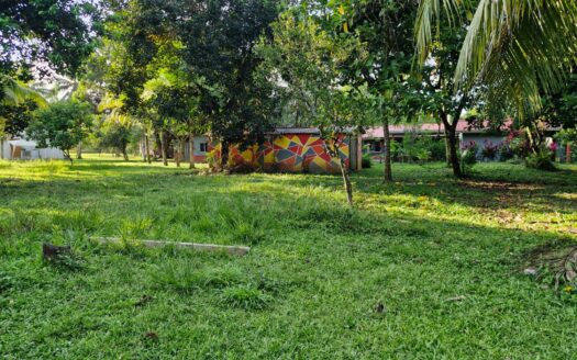 🌿🏡 Terreno en Venta | Santiago, Tela