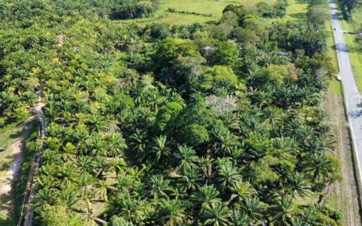 🌿🌴 Terreno en Venta | Tela