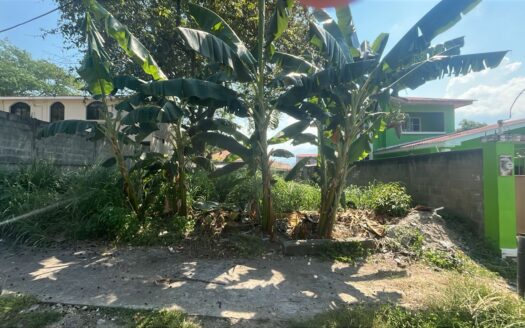 🌿🏡 Lote en Venta | Res. Villas del Bosque – San Pedro Sula