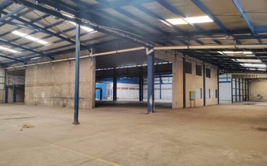 🏢📦 Bodega en Renta | Zona Céntrica de San Pedro Sula