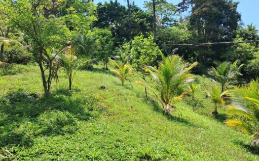 🌿🏡 Se Venden 5,625 Varas² de Terreno en Omoa – Sector Las Flores, Muchilena