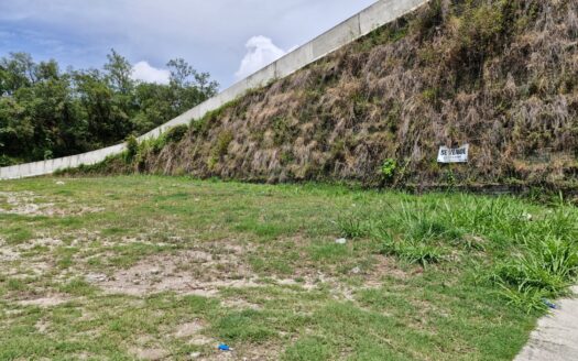 🏡🌿 Terreno en Venta en Bosques de Jaragua – San Pedro Sula