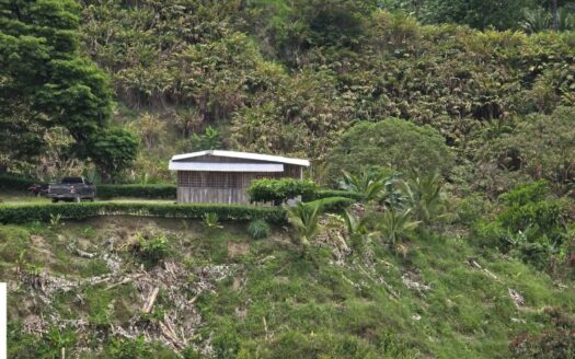 🌿🏡 Se Vende Propiedad de 12 Manzanas en Tegucigalpita, Omoa, Cortés