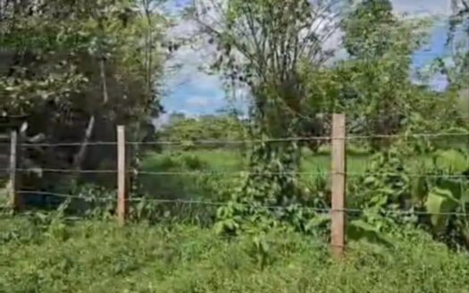 🏡 Se Vende Propiedad de 24.37 Manzanas en Tegucigalpita, Omoa, Cortés