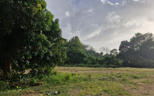 🏡✨ ¡TERRENO EN VENTA EN VILLAS SAN ANTONIO – OMOA, CORTÉS!