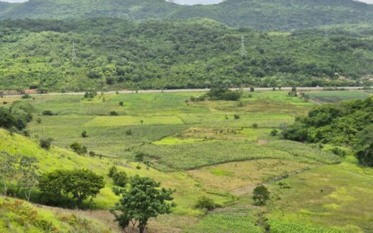 🏭🚧 ¡TERRENO EN VENTA EN POTRERILLOS, CORTÉS – FRENTE A LA CA-5!
