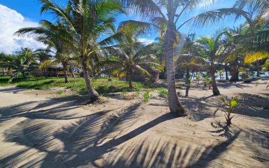 🏝️🌊 ¡TERRENO EN VENTA FRENTE A LA PLAYA – TELA, ATLÁNTIDA!