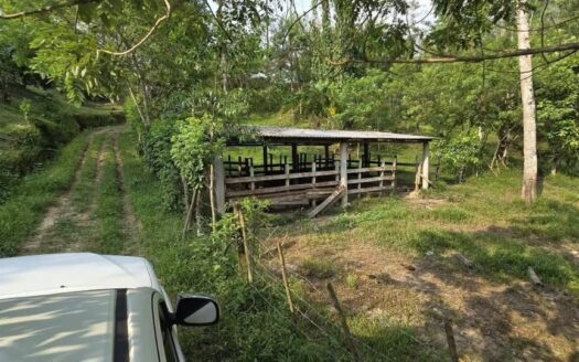 🌿🐄 ¡PROPIEDAD EN VENTA DE 75 MANZANAS – OMOA, CORTÉS!