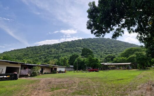 🌱🏡 ¡FINCA EN VENTA EN SAN MANUEL, CORTÉS! 🌱