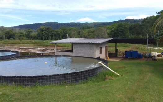 🐟🏞️ ¡PROYECTO ACUÍCOLA EN VENTA – SANTA CRUZ DE YOJOA, CORTÉS! 🏞️🐟