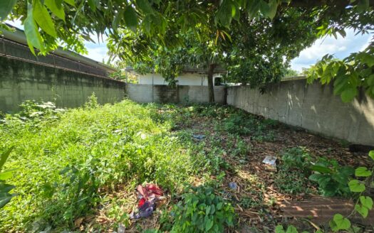 🌳🏡 ¡TERRENO EN VENTA – LA CANDELARIA, CHOLOMA! ✨