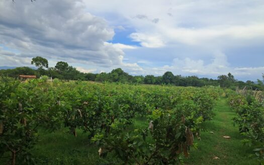 🏞️✨ ¡PROPIEDAD EN VENTA – PLAYITAS, COMAYAGUA! ✨🏞️