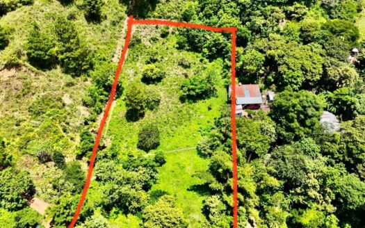 🌱✨ ¡GANGA DE PROPIEDAD EN VENTA – DANLÍ, EL PARAÍSO! ✨🌱