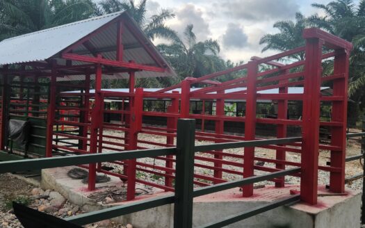 🐄🌱 ¡FINCA DE 110 MANZANAS EN VENTA – SANTA CRUZ DE YOJOA, CORTÉS! 🌱🐄